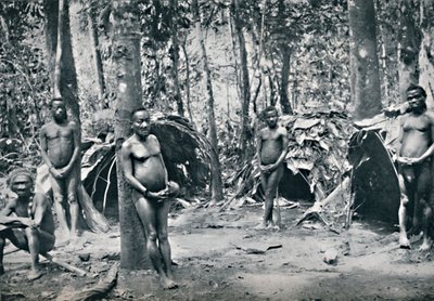 Ein Pygmäendorf, Nordost-Kongo-Becken, 1912 von Unbekannt