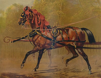 Ein Staatskutschenpferd, um 1879 von Unbekannt