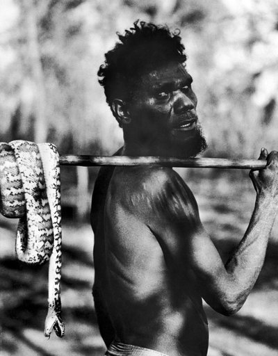 Aborigine mit Schlange von Unbekannt
