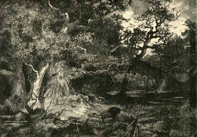 Ein alter deutscher Wald, 1890 von Unbekannt