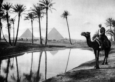 Eine Oase nahe Kairo, Ägypten, ca. 1920er von Unbekannt