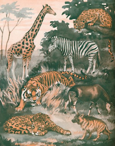 Tiere, die durch Flecken und Streifen geholfen werden, 1935 von Unbekannt