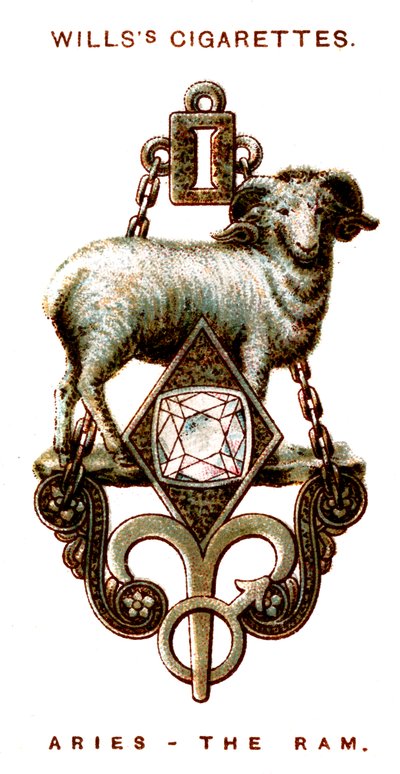 Widder, 1923 von Unbekannt