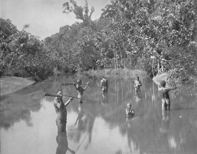 Australische Aborigines beim Fischen, 19. Jahrhundert von Unbekannt