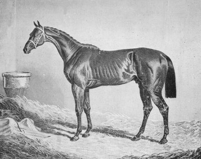 Bay Middleton, 1833-1857, 1911 von Unbekannt