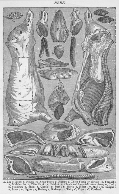 Rindfleisch, 1907 von Unbekannt