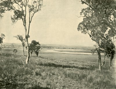 Black Swan Lagoon, nahe Warwick, Queensland, 1901 von Unbekannt