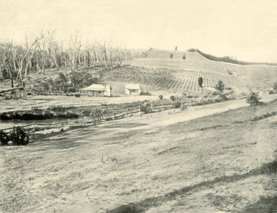 Bush-Arbeiterheim, Gippsland, Victoria, 1901 von Unbekannt