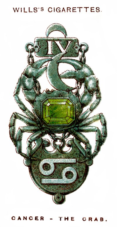Krebs, die Krabbe, 1923 von Unbekannt