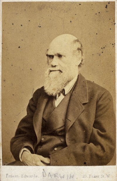 Charles Darwin, englischer Naturforscher, ca. 1870er von Unbekannt