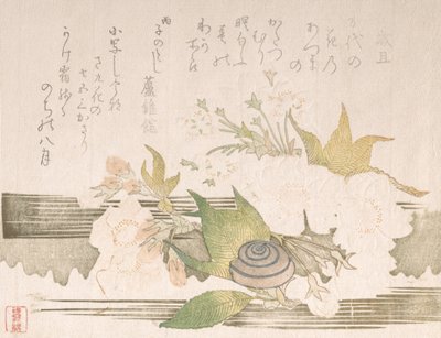 Kirschblüten und eine Schnecke, 1816 von Unbekannt