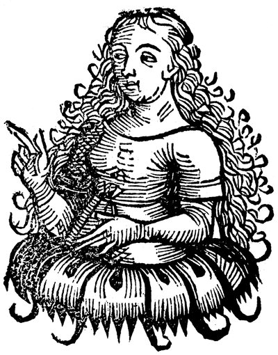 Kimmerische Sibylle, 1493 von Unbekannt