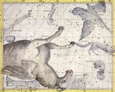 Sternbild Pegasus, 1729 von Unbekannt