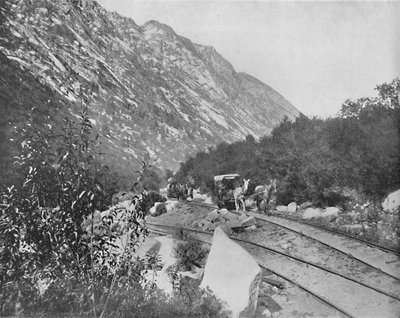 Cottonwood Canyon, Utah, ca. 1897 von Unbekannt