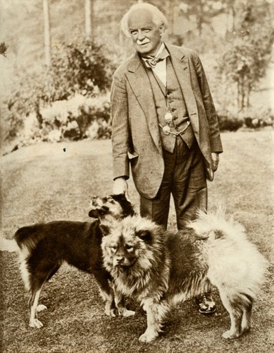 David Lloyd George, 1935 von Unbekannt