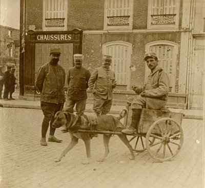 Hundewagen, Frankreich, ca. 1914-1918 von Unbekannt