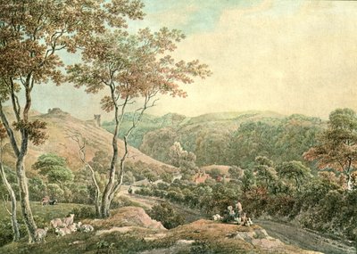 Drusllwyn Castle, Caermarthenshire, ca. 1900 von Unbekannt