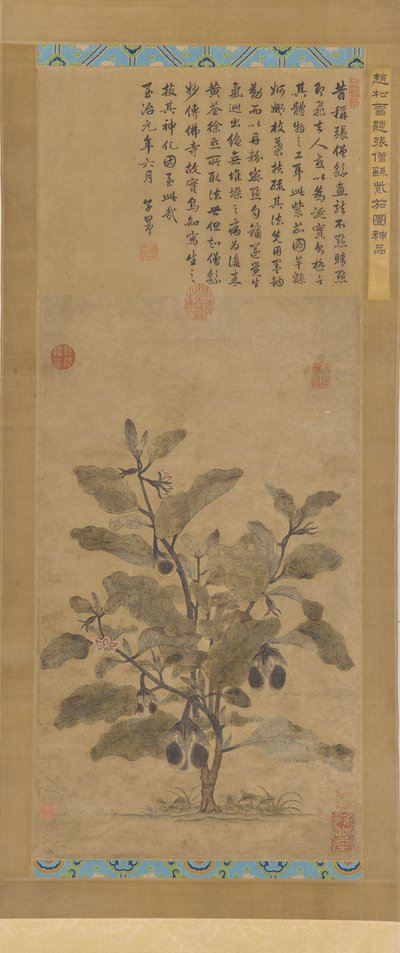 Aubergine, Ming-Dynastie von Unbekannt