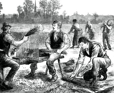 Flachsreißen, um 1880 von Unbekannt