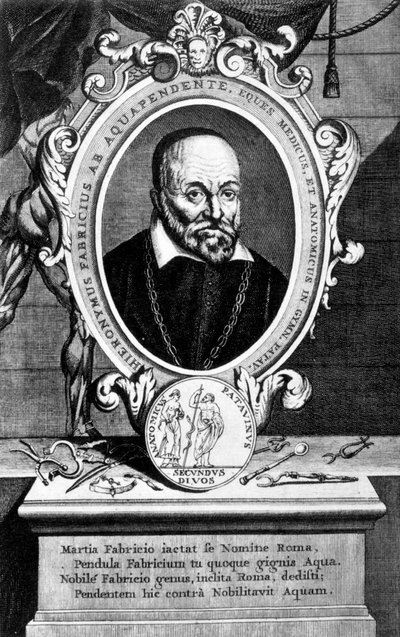 Girolamo Fabrici, italienischer Anatom und Chirurg, 17. Jahrhundert von Unbekannt