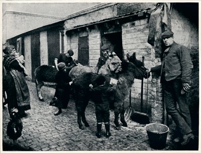Pflege von Karreneseln, London von Unbekannt