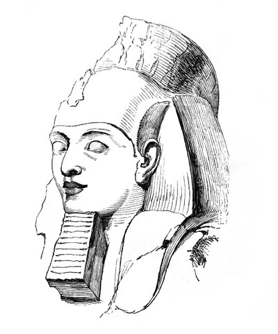 Kopf von Ramses, 1848 von Unbekannt