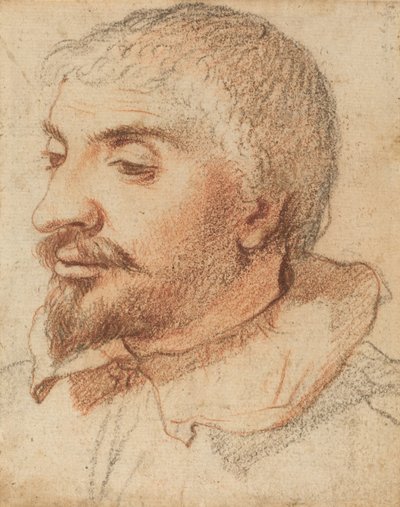 Kopf eines Mannes, ca. 1600 von Unbekannt