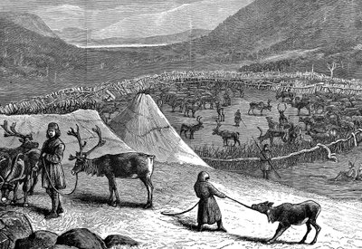 Rentierherde, Lappland, 1882 von Unbekannt