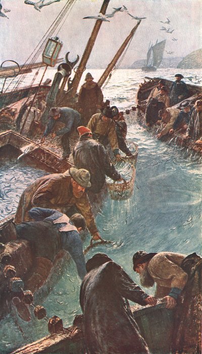 Wie wir die Sardellen fingen, 1895, um 1902 von Unbekannt