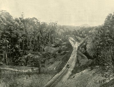 In den Blackall Ranges, 1901 von Unbekannt