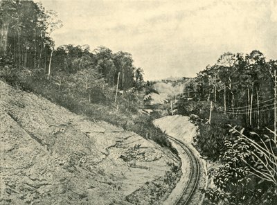 In den Blackall Ranges, 1901 von Unbekannt