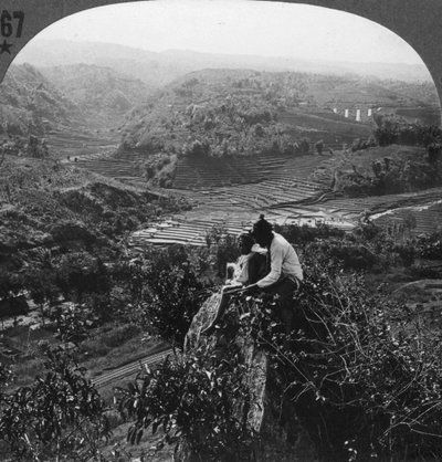Java, Indonesien, um 1900 von Unbekannt