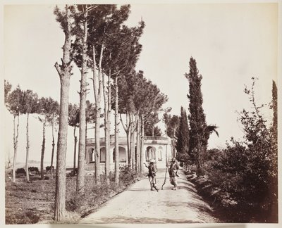 Jellallabad Der Gartenweg des Amir von Unbekannt
