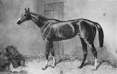 Kesselpauke, ca. 1860er, 1911 von Unbekannt