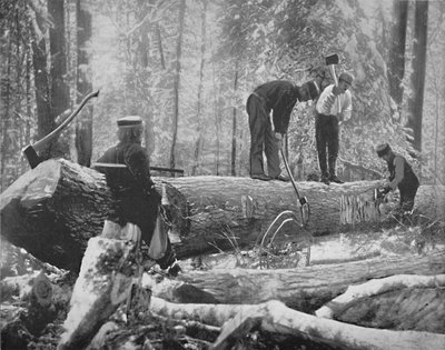 Holzfällerei am Ottawa River, Kanada, ca. 1897 von Unbekannt