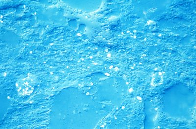 Mineralien, LM Schluffstein von Unbekannt