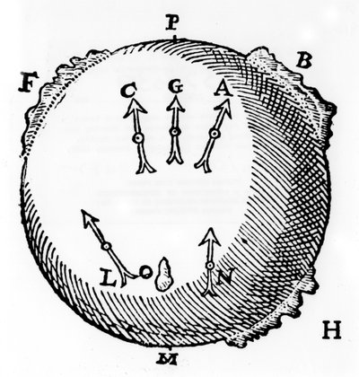 Magnetismus, 1600 von Unbekannt