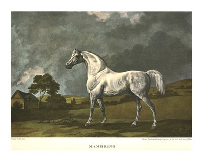 Mambrino, um 1779, um 1955 von Unbekannt