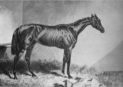 Bettler von Unbekannt