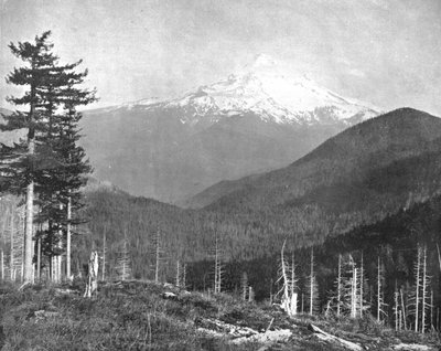 Mount Hood, Oregon, USA, um 1900 von Unbekannt