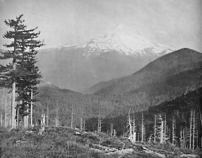 Mount Hood, Oregon, um 1897 von Unbekannt