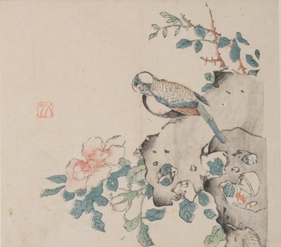 Seite aus Shi Zhu Zhai von Unbekannt