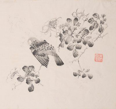 Seite aus Shi Zhu Zhai von Unbekannt