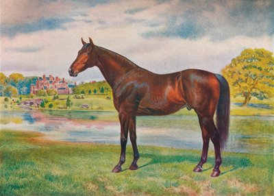 Kaki, um 1905-1910 von Unbekannt