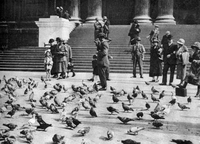 Tauben auf dem Trafalgar Square, London von Unbekannt