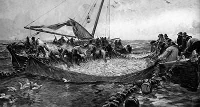 Sardinen, 1900 von Unbekannt