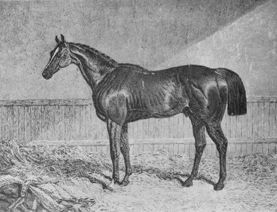 Bevollmächtigter, 1831-1854 von Unbekannt