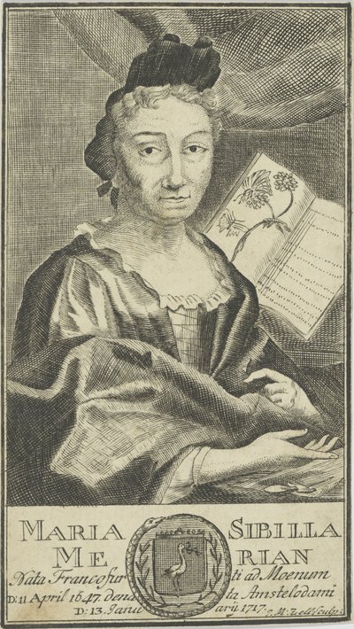 Porträt von Maria Sibylla Merian 1647-1717, 1755 von Unbekannt