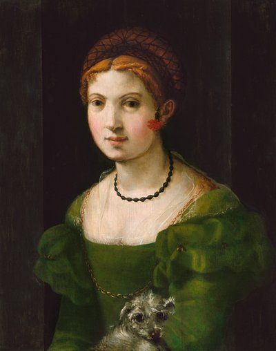 Porträt einer jungen Frau, 1530-1540 von Unbekannt