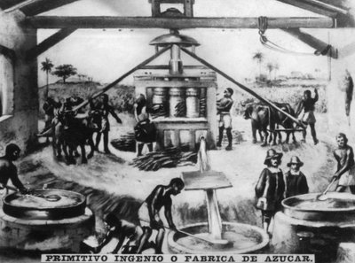 Primitive Einfallsreichtum, 16. Jahrhundert, 1920er Jahre von Unbekannt